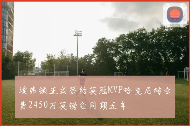 埃弗顿正式签约英冠MVP哈克尼转会费2450万英镑合同期五年