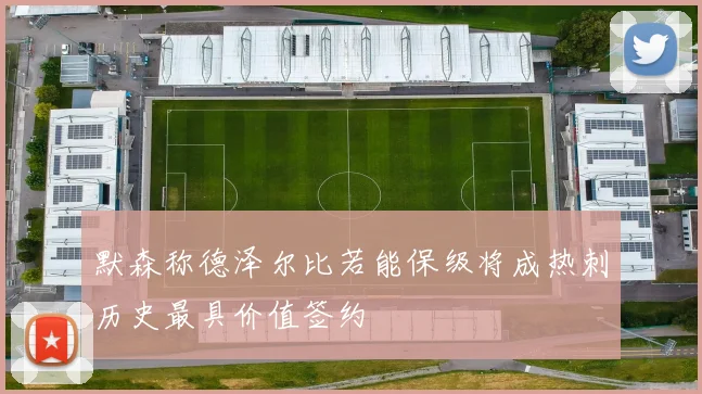 默森称德泽尔比若能保级将成热刺历史最具价值签约