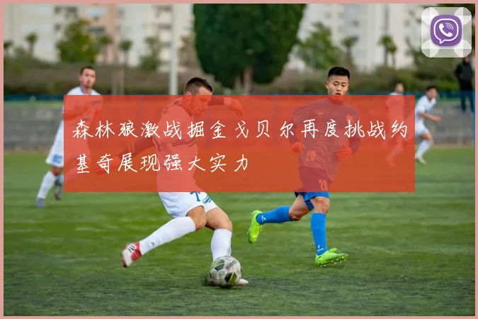 森林狼激战掘金戈贝尔再度挑战约基奇展现强大实力